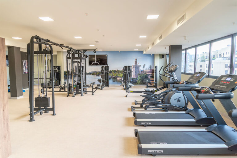 Gimnasio